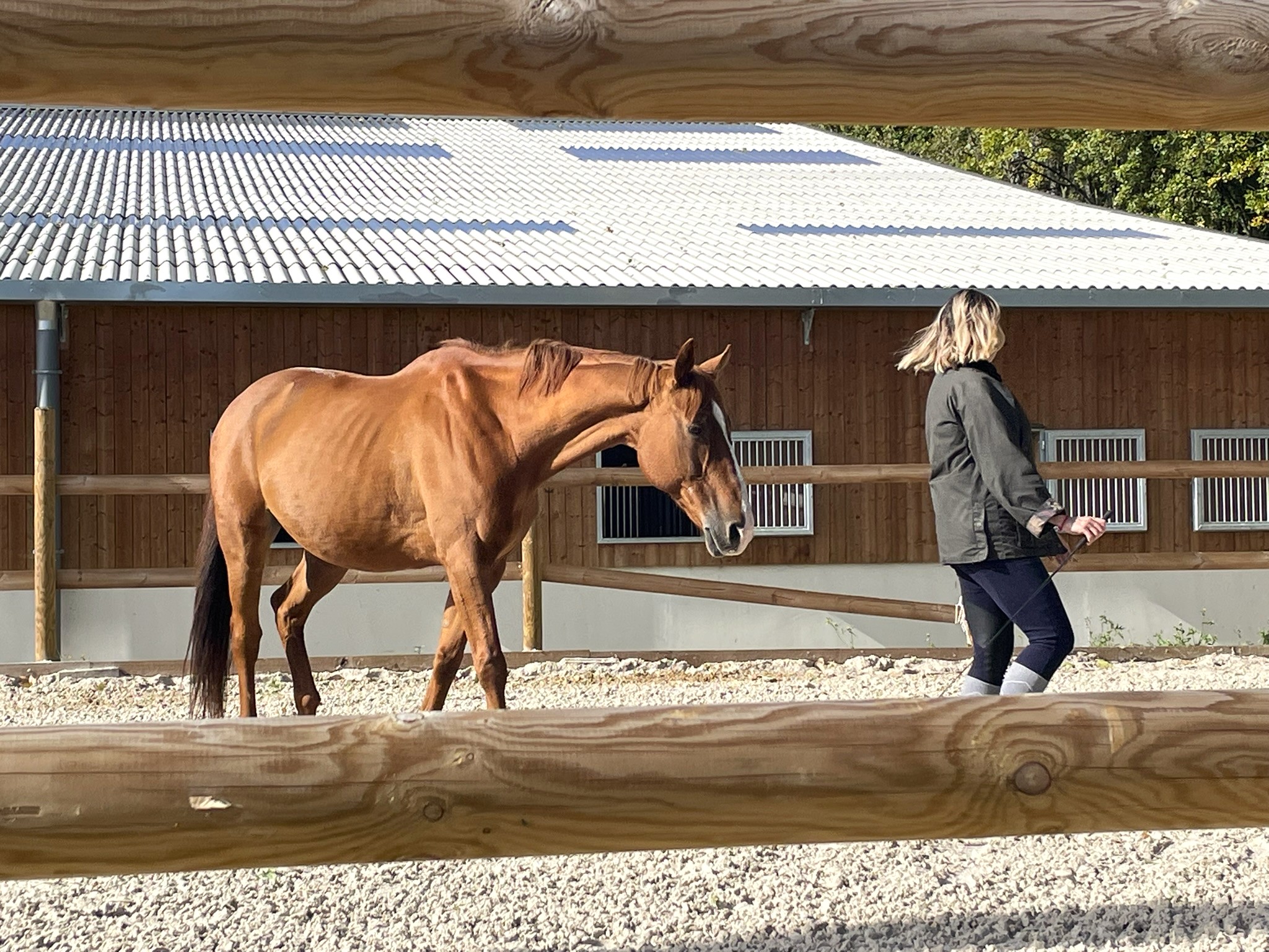Stage développement personnel